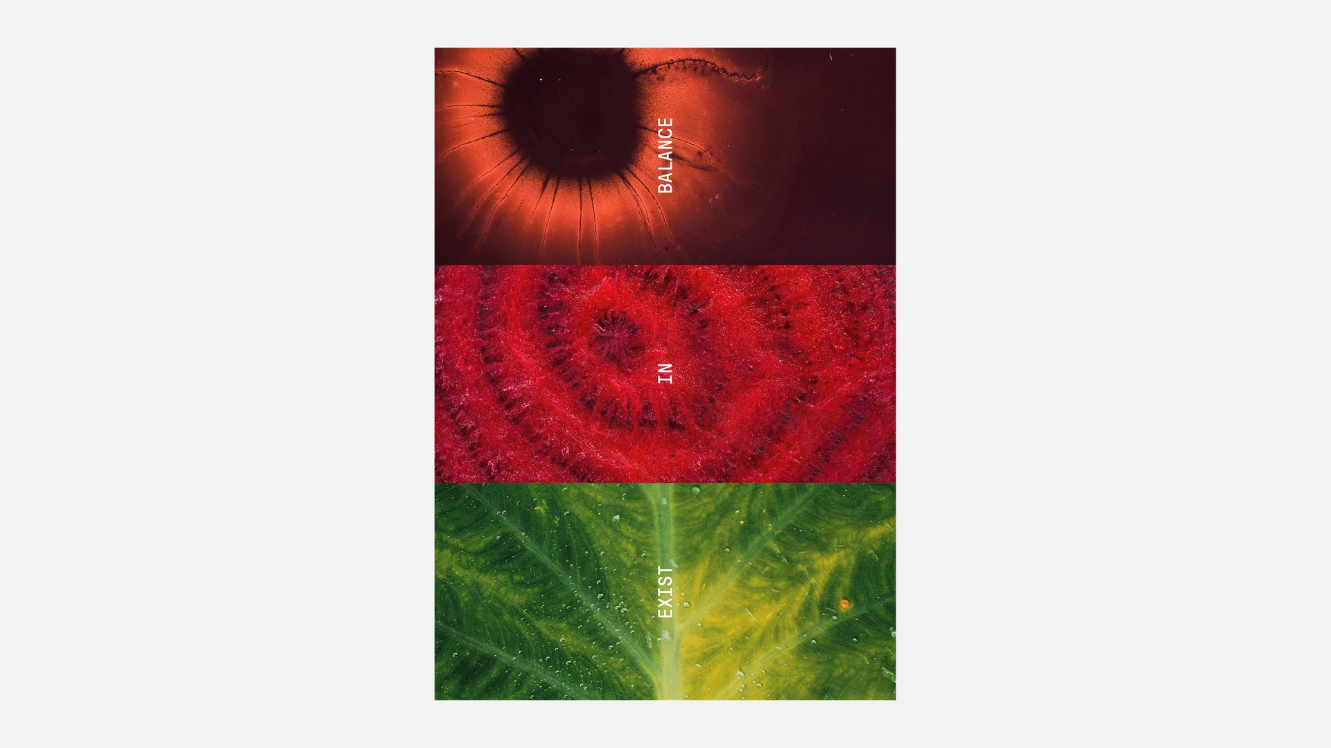 4_Imagery-poster1